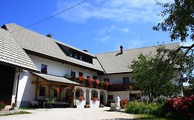 Apartments Susnik