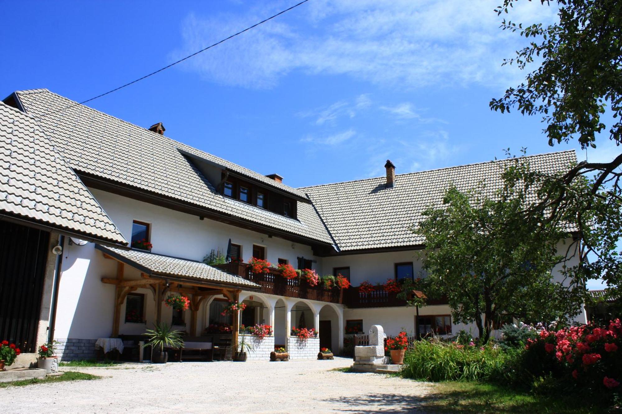 Apartments Susnik Bohinj Buitenkant foto