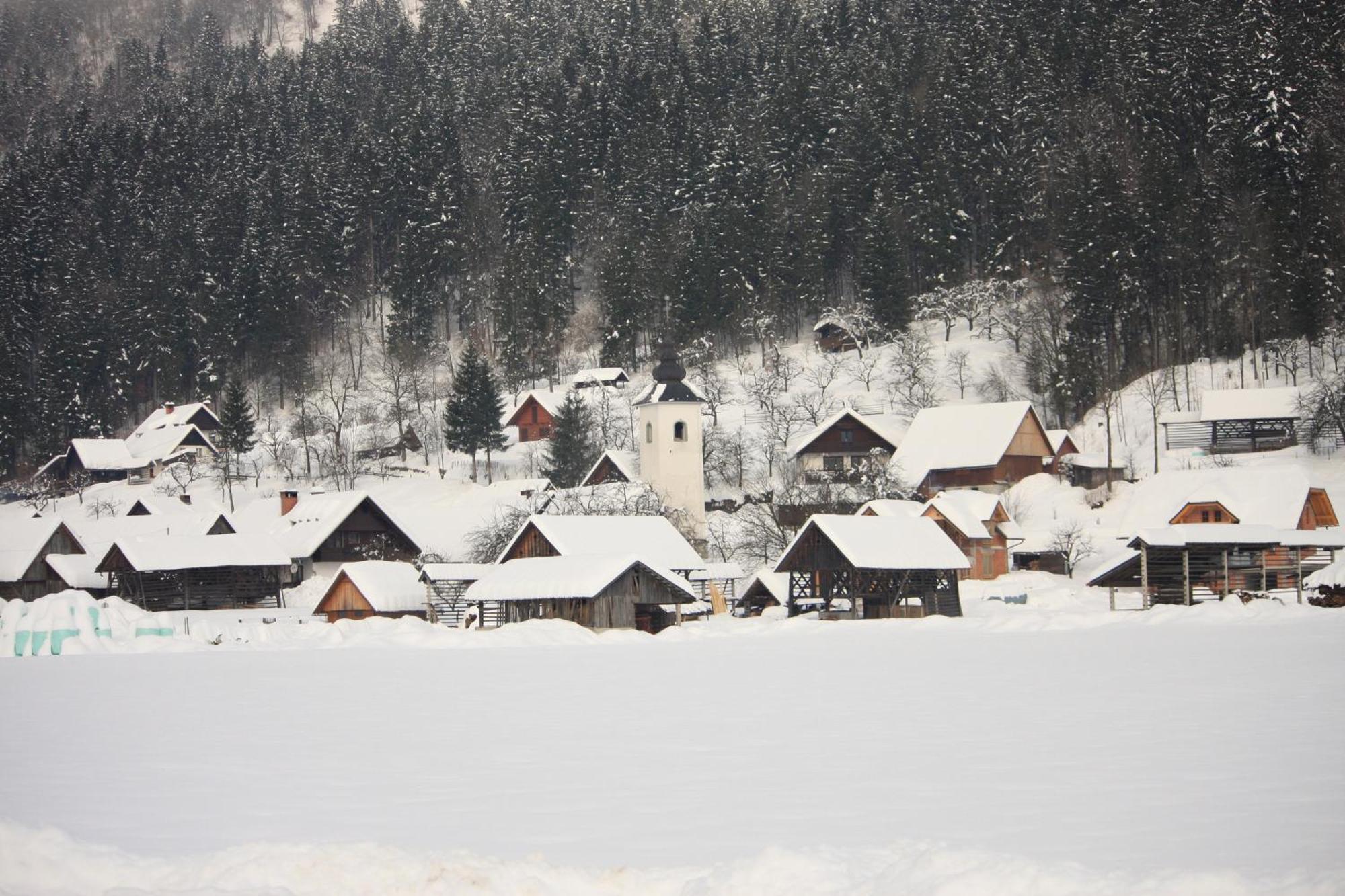 Apartments Susnik Bohinj Buitenkant foto