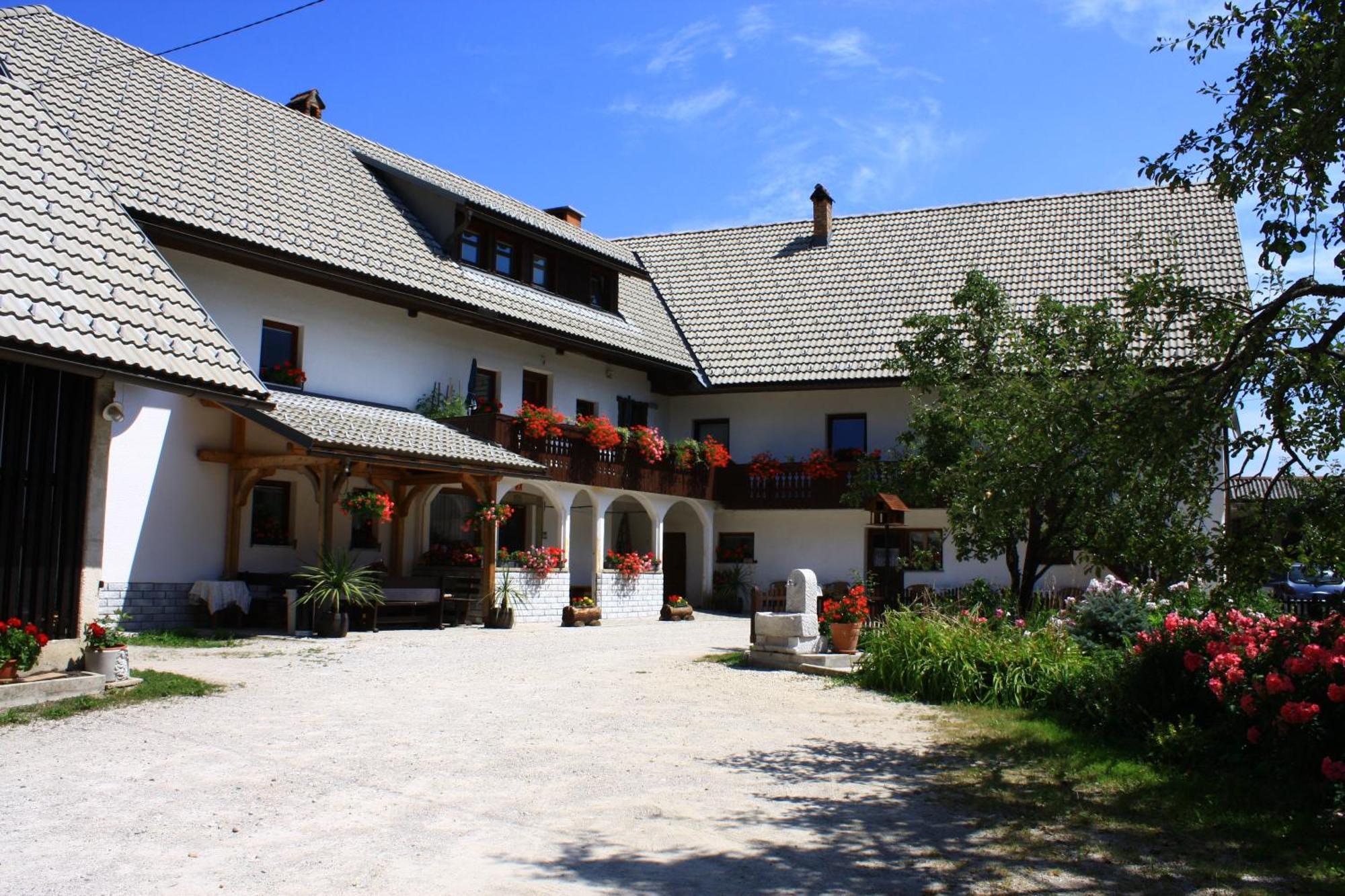 Apartments Susnik Bohinj Buitenkant foto